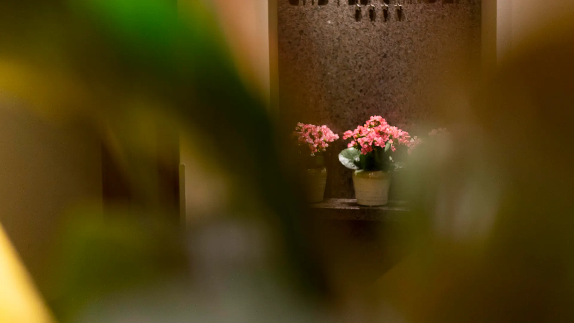 Hotel Castle Garden Budapest